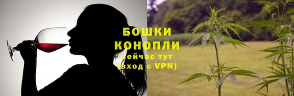 прущие крисы Белокуриха