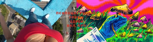 apvp Нея